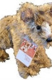 Because of Winn-Dixie Plush