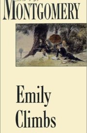 Emily Climbs
