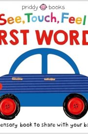 See Touch Feel: First Words A Sensory Book for Babies and Toddlers