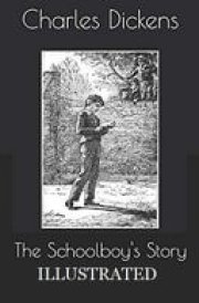 The Schoolboy's Story Illustrated
