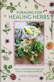 Foraging for Healing Herbs How to Find Plants for Traditional Charms, Remedies and Rituals