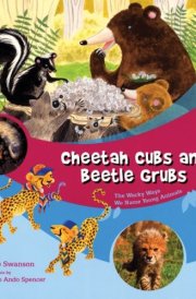 Cheetah Cubs and Beetle Grubs The Wacky Ways We Name Young Animals