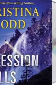 Obsession Falls: A Novel (The Virtue Falls Series, 2)