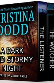 A DARK & STORMY NIGHT: Stories of Virtue Falls