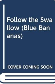 Follow the Swallow