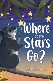 Where Do the Stars Go?