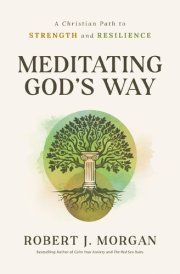 Meditating God's Way A Christian Path to Strength and Resilience