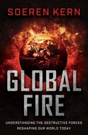 Global Fire Understanding the Destructive Forces Reshaping Our World Today