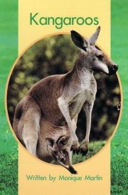 Kangaroos