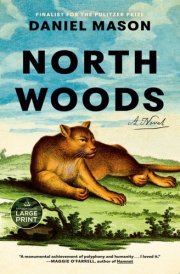 North Woods A Novel