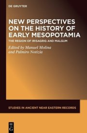 New Perspectives on the History of Early Mesopotamia - The Region of Irisagrig and Malgum