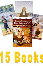 Historical Fiction Books: My Name Is Not Angelica; Frozen Summer; Forty Acres & Maybe a Mule; Foster's War; and One for All; a Journey Home; Good Bye Vietnam; Midwife's Apprentice;the Star Fisher (Book Sets for Kids : Grade 5 - 8)