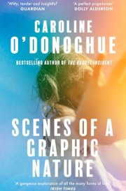 Scenes of a Graphic Nature 'a Perfect Page-Turner ... I Loved It' - Dolly Alderton