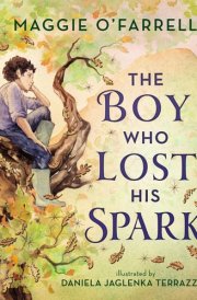The Boy Who Lost His Spark