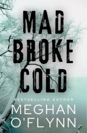 Mad Broke Cold: An Unpredictable Psychological Thriller