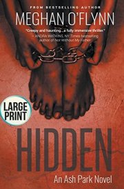Hidden Large Print