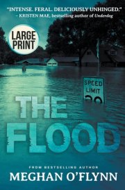 The Flood A Novel (Large Print)