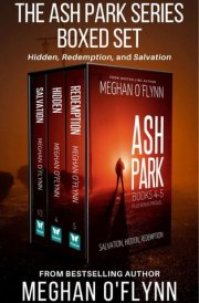 Ash Park Series Boxed Set #2: Three Hardboiled Crime Thrillers Hidden, Redemption, and Salvation