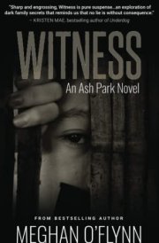 Witness A Gritty Hardboiled Crime Thriller