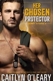 Her Chosen Protector Navy SEAL Romance