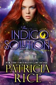 THE INDIGO SOLUTION