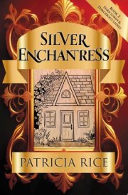 Silver Enchantress Dark Lords and Dangerous Ladies #2