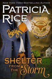 Shelter From the Storm Rogues and Desperadoes #3