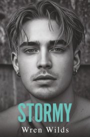 Stormy: An MM Romance