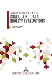 Faculty and Staff Guide to Conducting Data Quality Evaluations