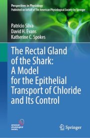 The Rectal Gland of the Shark: A Model for the Epithelial Transport of Chloride and Its Control (Perspectives in Physiology)