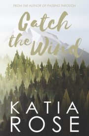 Catch the Wind (Balsam Inn)