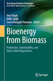 Bioenergy from Biomass: Production, Sustainability, and Value-Added Byproducts (Clean Energy Production Technologies)