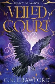 Veiled Court