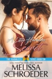 A Little Harmless Secret A Secret Baby Romantic Suspense