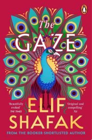 The Gaze The daringly funny historical novel from the bestselling author of There Are Rivers in the Sky