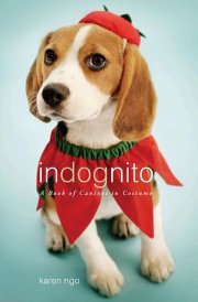InDognito