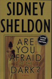 Are You Afraid of the Dark? LP