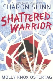 Shattered Warrior