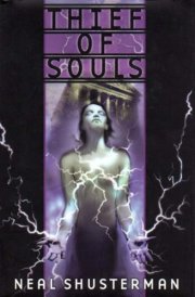 Thief of Souls Book Two In The Star Shards Chronicles