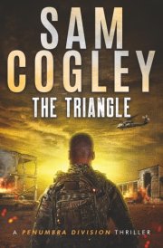 The Triangle (Penumbra Division Thrillers)