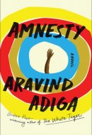 Amnesty A Novel