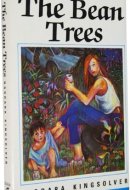The Bean Trees
