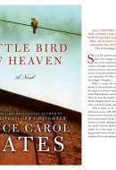 Little Bird of Heaven A Novel