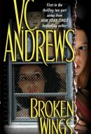 Broken Wings