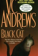 Black Cat