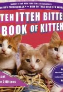 Teh Itteh Bitteh Book of Kittehs