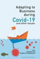 Adapting to Business During Covid-19 and Other Issues