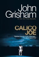 Calico Joe A Novel
