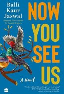 Now You See Us : The Novel