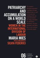 Patriarchy and Accumulation on a World Scale: Women in the International Division of Labour (Critique Influence Change)